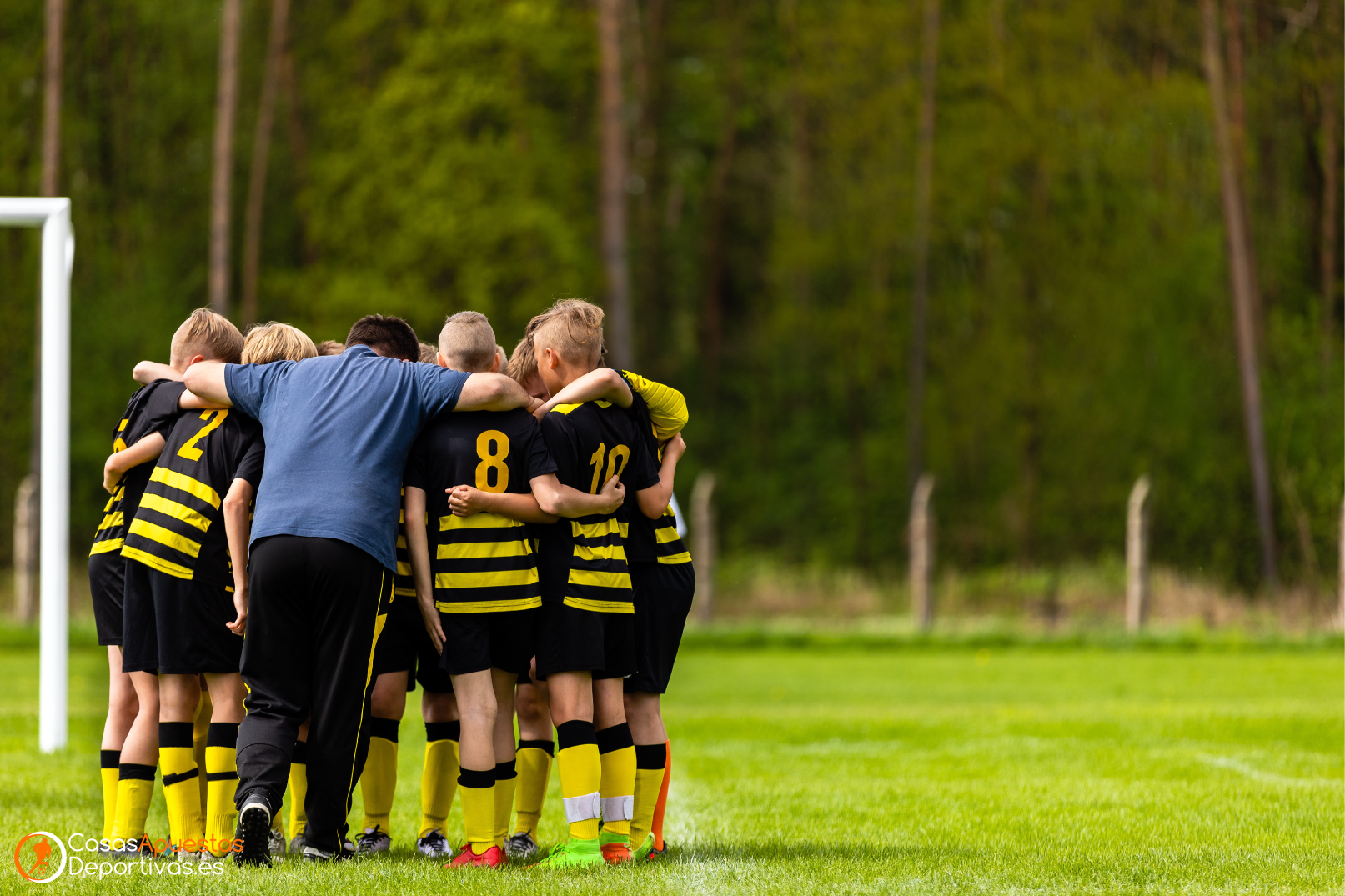 estrategias para realizar apuestas deportivas online