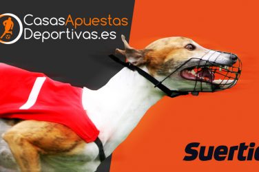 apuestas virtuales en carreras de galgos en Suertia