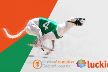 carreras virtuales de galgos en luckia