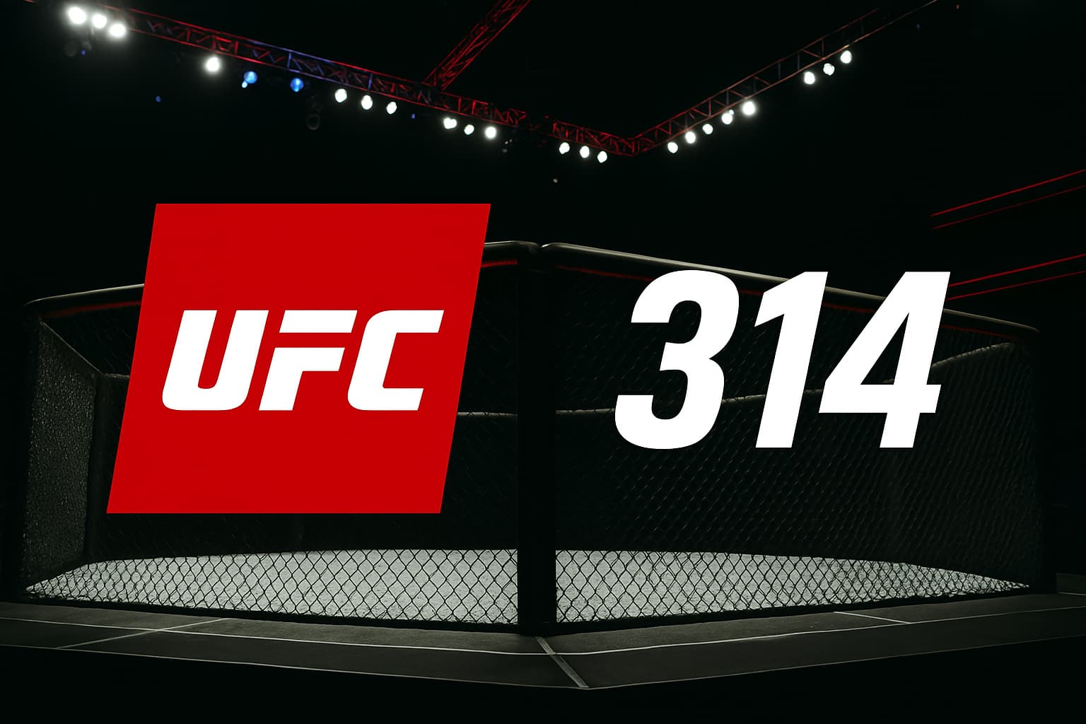 UFC 314